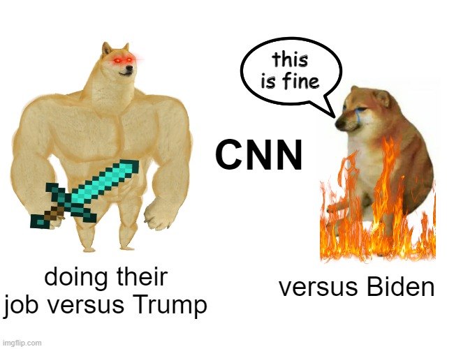 A nice barrette? That guy who runs the place over there? C'mon man! | this is fine; CNN; doing their job versus Trump; versus Biden | image tagged in buff doge vs cheems,cnn,biden,politics | made w/ Imgflip meme maker