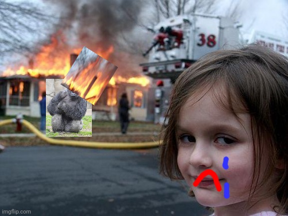 Disaster Girl | image tagged in memes,disaster girl | made w/ Imgflip meme maker