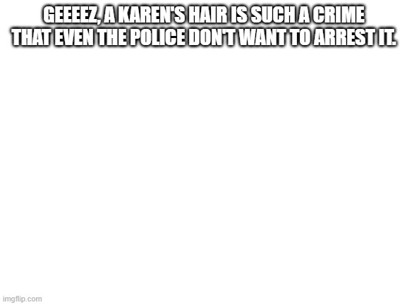 attempted roasts day 2 | GEEEEZ, A KAREN'S HAIR IS SUCH A CRIME THAT EVEN THE POLICE DON'T WANT TO ARREST IT. | made w/ Imgflip meme maker