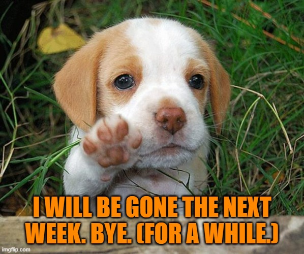 dog puppy bye | I WILL BE GONE THE NEXT WEEK. BYE. (FOR A WHILE.) | image tagged in dog puppy bye | made w/ Imgflip meme maker