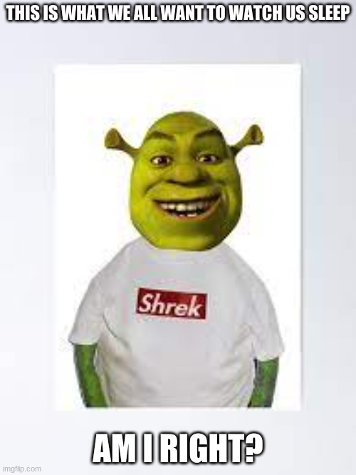 He is pretty. | THIS IS WHAT WE ALL WANT TO WATCH US SLEEP; AM I RIGHT? | image tagged in shrek,yeet,lol,oof,t-shirt,pretty | made w/ Imgflip meme maker