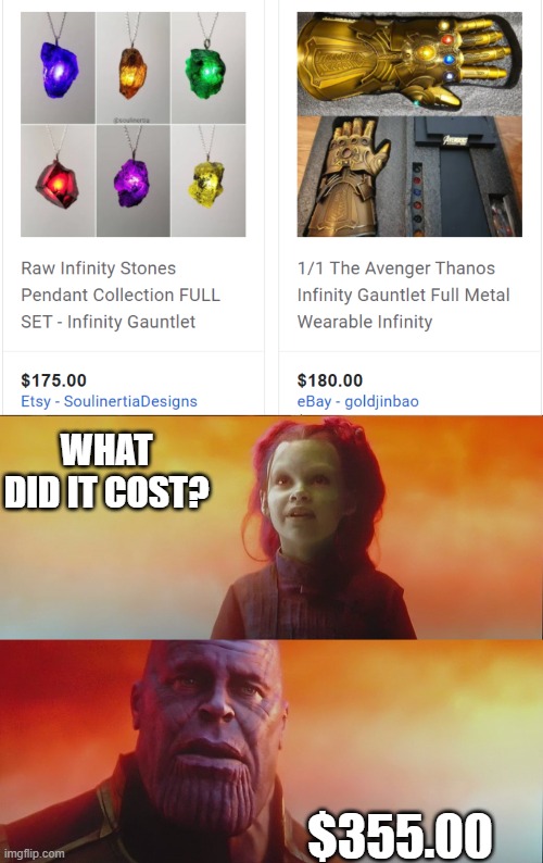 WHAT DID IT COST? $355.00 | image tagged in what did it cost 2 panel | made w/ Imgflip meme maker