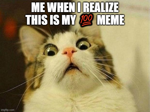 This is my ? meme guys! | ME WHEN I REALIZE THIS IS MY 💯 MEME | image tagged in memes,scared cat,100 meme | made w/ Imgflip meme maker