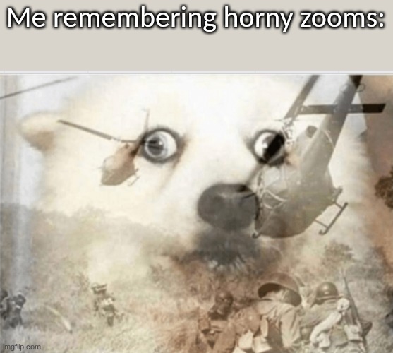 PTSD dog | Me remembering horny zooms: | image tagged in ptsd dog | made w/ Imgflip meme maker