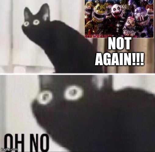 Oh no cat | NOT AGAIN!!! | image tagged in oh no cat,corrupt | made w/ Imgflip meme maker