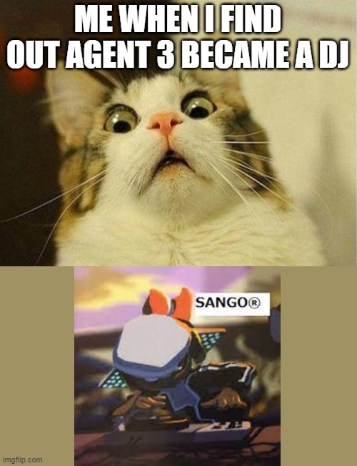 DJ WHO NOW? | ME WHEN I FIND OUT AGENT 3 BECAME A DJ | image tagged in memes,scared cat,dj sango | made w/ Imgflip meme maker