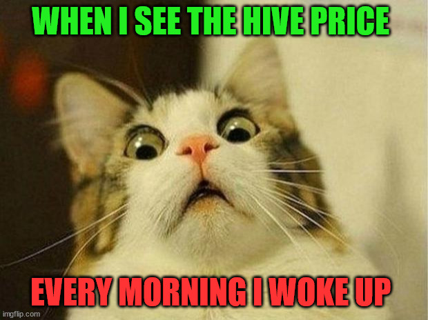 every morining when I woke up | WHEN I SEE THE HIVE PRICE; EVERY MORNING I WOKE UP | image tagged in cryptocurrency,crypto,hive,funny,meme | made w/ Imgflip meme maker
