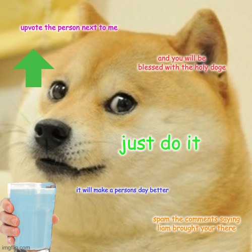 Doge Meme | upvote the person next to me; and you will be blessed with the holy doge; just do it; it will make a persons day better; spam the comments saying liam brought your there | image tagged in memes,doge | made w/ Imgflip meme maker