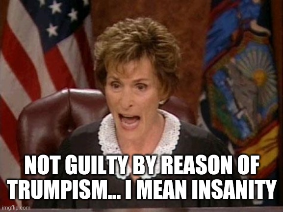 Judge Judy | NOT GUILTY BY REASON OF TRUMPISM... I MEAN INSANITY | image tagged in judge judy | made w/ Imgflip meme maker