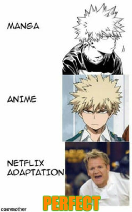 Perfect | PERFECT | image tagged in mha,netflix adaptation | made w/ Imgflip meme maker