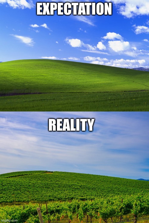 Reality isn’t always disappointing | EXPECTATION; REALITY | image tagged in windows,windows xp,memes | made w/ Imgflip meme maker