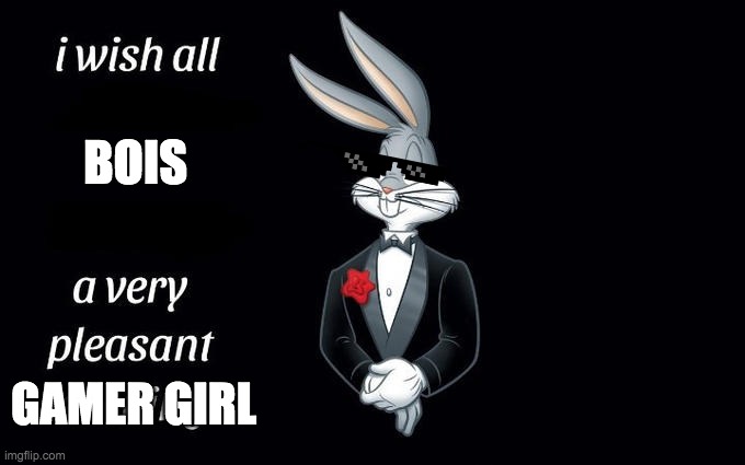 I wish all the X a very pleasant evening | BOIS; GAMER GIRL | image tagged in i wish all the x a very pleasant evening | made w/ Imgflip meme maker