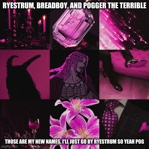 RYESTRUM, BREADBOY, AND POGGER THE TERRIBLE; THOSE ARE MY NEW NAMES. I'LL JUST GO BY RYESTRUM SO YEAH POG | made w/ Imgflip meme maker