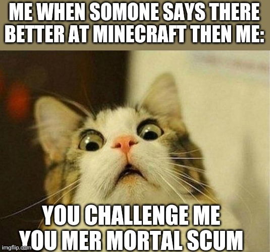 Scared Cat Meme | ME WHEN SOMONE SAYS THERE BETTER AT MINECRAFT THEN ME:; YOU CHALLENGE ME YOU MER MORTAL SCUM | image tagged in memes,scared cat,minecraft | made w/ Imgflip meme maker