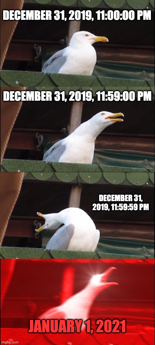 Inhaling Seagull Meme | DECEMBER 31, 2019, 11:00:00 PM DECEMBER 31, 2019, 11:59:00 PM DECEMBER 31, 2019, 11:59:59 PM JANUARY 1, 2021 | image tagged in memes,inhaling seagull | made w/ Imgflip meme maker