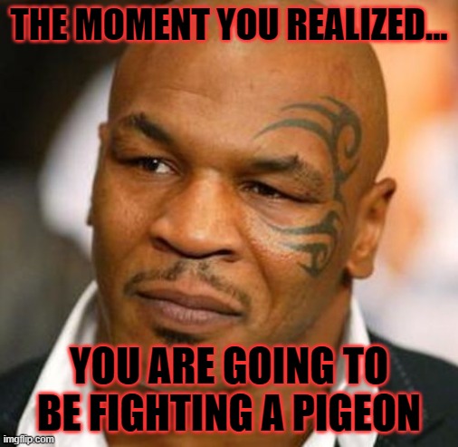 Disappointed Tyson |  THE MOMENT YOU REALIZED... YOU ARE GOING TO BE FIGHTING A PIGEON | image tagged in memes,disappointed tyson | made w/ Imgflip meme maker
