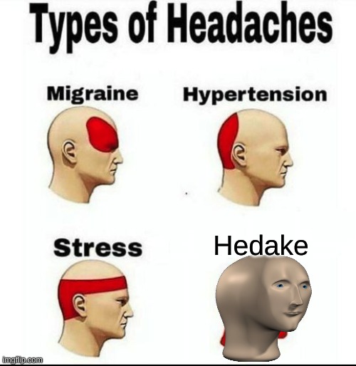 It's a hedake | Hedake | image tagged in types of headaches meme,succ,meme man,stonks,hedake | made w/ Imgflip meme maker