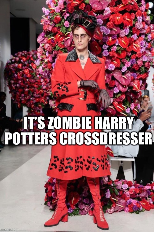 Harry Potters Zombie Crossdresser | IT’S ZOMBIE HARRY POTTERS CROSSDRESSER | image tagged in harry potter,zombie,crossdresser | made w/ Imgflip meme maker