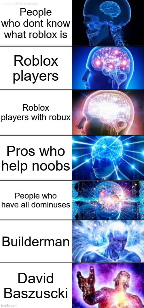 Im kinda the second one, i have 0 B O B U X |  People who dont know what roblox is; Roblox players; Roblox players with robux; Pros who help noobs; People who have all dominuses; Builderman; David Baszuscki | image tagged in 7-tier expanding brain | made w/ Imgflip meme maker