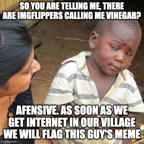 Third World Skeptical Kid Meme | SO YOU ARE TELLING ME, THERE ARE IMGFLIPPERS CALLING ME VINEGAR? AFENSIVE. AS SOON AS WE GET INTERNET IN OUR VILLAGE WE WILL FLAG THIS GUY'S | image tagged in memes,third world skeptical kid | made w/ Imgflip meme maker