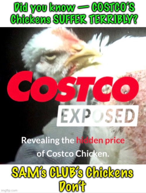 Agonizing Death      ~neverwoke~ | Did you know — COSTCO’S Chickens SUFFER TERRIBLY? SAM’s CLUB’s Chickens 
Don’t | image tagged in costco,sams club,dollars not mercy,indifferent not humane,ruthless,cruel | made w/ Imgflip meme maker