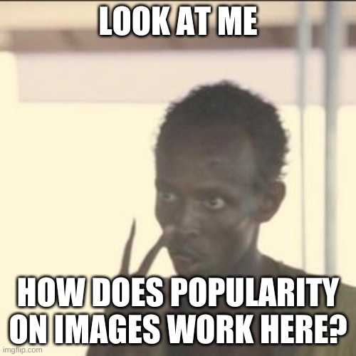 Look At Me | LOOK AT ME; HOW DOES POPULARITY ON IMAGES WORK HERE? | image tagged in memes,look at me | made w/ Imgflip meme maker