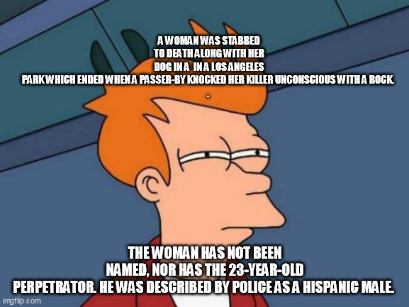 Futurama Fry | A WOMAN WAS STABBED TO DEATH ALONG WITH HER DOG IN A  IN A LOS ANGELES PARK WHICH ENDED WHEN A PASSER-BY KNOCKED HER KILLER UNCONSCIOUS WITH A ROCK. 

. THE WOMAN HAS NOT BEEN NAMED, NOR HAS THE 23-YEAR-OLD PERPETRATOR. HE WAS DESCRIBED BY POLICE AS A HISPANIC MALE. | image tagged in memes,futurama fry | made w/ Imgflip meme maker