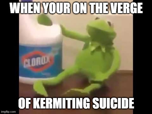 idk y this is so funny XD | image tagged in lol,memes,kermiting suicide,kermit the frog | made w/ Imgflip meme maker