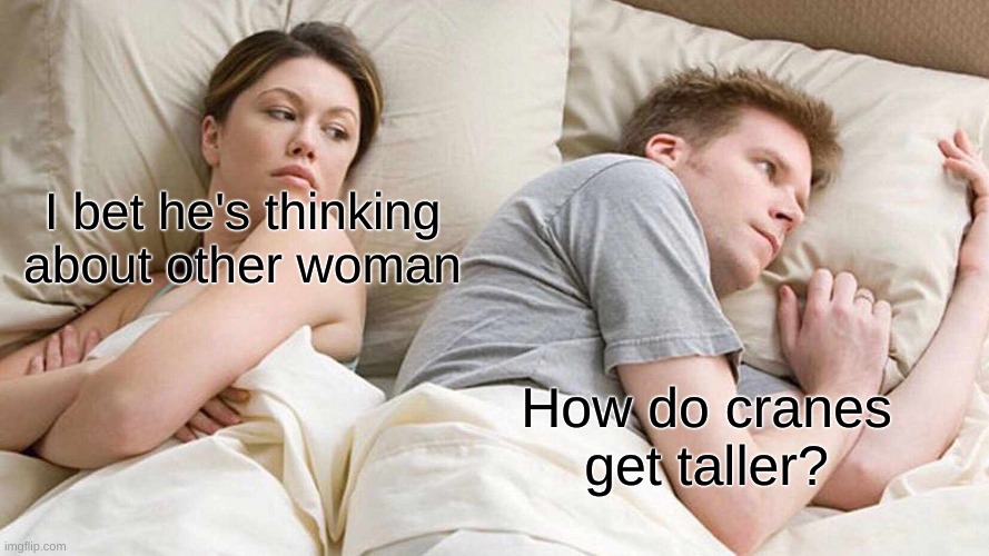 I Bet He's Thinking About Other Women | I bet he's thinking about other woman; How do cranes get taller? | image tagged in memes,i bet he's thinking about other women | made w/ Imgflip meme maker
