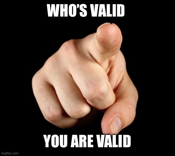 Everyone’s valid | WHO’S VALID; YOU ARE VALID | image tagged in that s him officer,lgbtq | made w/ Imgflip meme maker