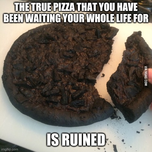 Burnt pizza  | THE TRUE PIZZA THAT YOU HAVE BEEN WAITING YOUR WHOLE LIFE FOR; IS RUINED | image tagged in burnt pizza | made w/ Imgflip meme maker