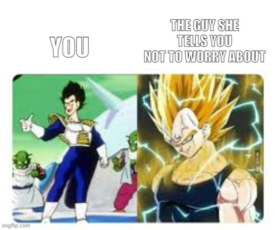 Vegeta in DBZ | THE GUY SHE TELLS YOU NOT TO WORRY ABOUT; YOU | image tagged in vegeta,ssj,vs,normal vegeta | made w/ Imgflip meme maker