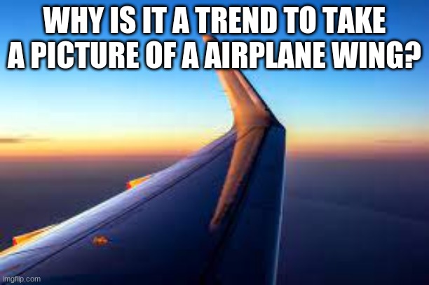 Why tho | WHY IS IT A TREND TO TAKE A PICTURE OF A AIRPLANE WING? | made w/ Imgflip meme maker