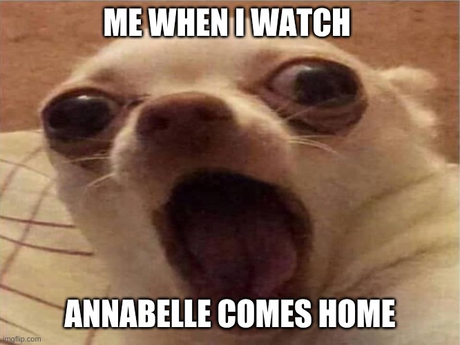DOGE DOGE DOGE DOGE | ME WHEN I WATCH; ANNABELLE COMES HOME | image tagged in doge doge doge doge | made w/ Imgflip meme maker