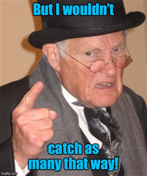 Angry Old Man | But I wouldn’t catch as many that way! | image tagged in angry old man | made w/ Imgflip meme maker