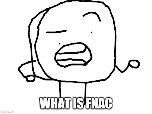 Blank White Template | WHAT IS FNAC | image tagged in blank white template | made w/ Imgflip meme maker
