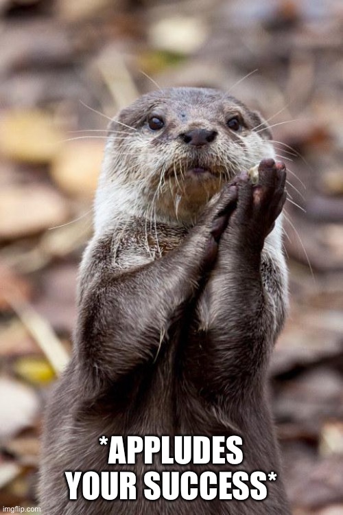 Slow-Clap Otter | *APPLUDES YOUR SUCCESS* | image tagged in slow-clap otter | made w/ Imgflip meme maker