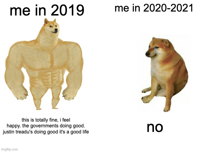 Buff Doge vs. Cheems | me in 2019; me in 2020-2021; this is totally fine, i feel happy. the governments doing good. justin treadu's doing good it's a good life; no | image tagged in memes,buff doge vs cheems | made w/ Imgflip meme maker
