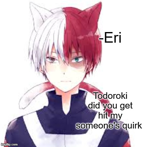 you ok or | -Eri; Todoroki did you get hit my someone's quirk | image tagged in anime,my hero academia,simp | made w/ Imgflip meme maker