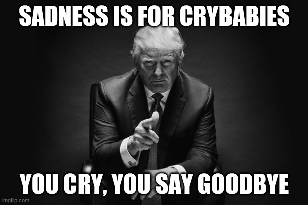 Donald Trump Thug Life | SADNESS IS FOR CRYBABIES YOU CRY, YOU SAY GOODBYE | image tagged in donald trump thug life | made w/ Imgflip meme maker