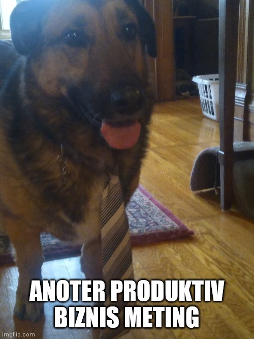 ANOTER PRODUKTIV BIZNIS METING | image tagged in dog | made w/ Imgflip meme maker