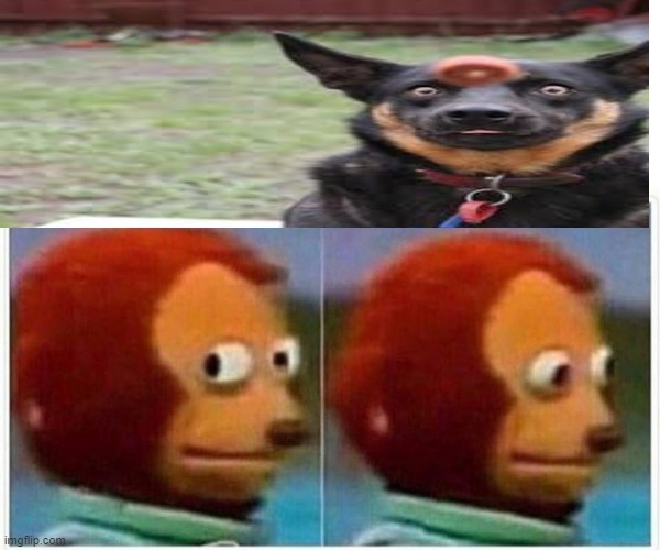 Monkey Puppet | image tagged in memes,monkey puppet | made w/ Imgflip meme maker