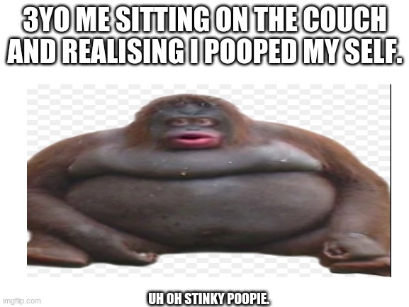 Uh oh stinky poopie | 3YO ME SITTING ON THE COUCH AND REALISING I POOPED MY SELF. UH OH STINKY POOPIE. | image tagged in le monke | made w/ Imgflip meme maker