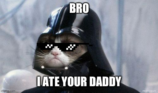 Grumpy Cat Star Wars | BRO; I ATE YOUR DADDY | image tagged in memes,grumpy cat star wars,grumpy cat | made w/ Imgflip meme maker