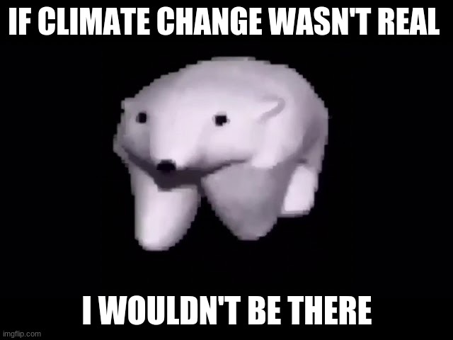 bear wanna talk to some people that need to hear what he has to say | IF CLIMATE CHANGE WASN'T REAL; I WOULDN'T BE THERE | image tagged in polar bear,memes | made w/ Imgflip meme maker