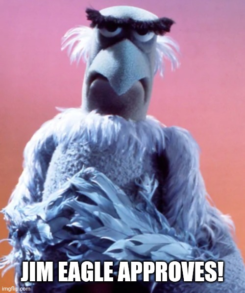 Sam eagle | JIM EAGLE APPROVES! | image tagged in sam eagle | made w/ Imgflip meme maker