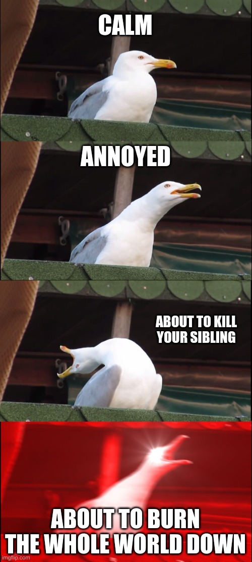 Levels of emotion | CALM; ANNOYED; ABOUT TO KILL YOUR SIBLING; ABOUT TO BURN THE WHOLE WORLD DOWN | image tagged in memes,inhaling seagull | made w/ Imgflip meme maker