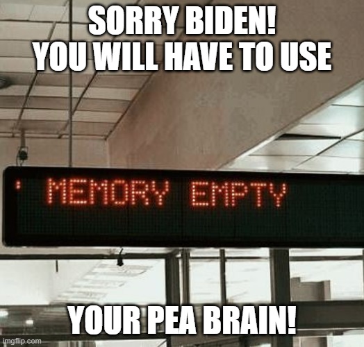 Biden's Teleprompter | SORRY BIDEN! YOU WILL HAVE TO USE; YOUR PEA BRAIN! | image tagged in biden's teleprompter | made w/ Imgflip meme maker