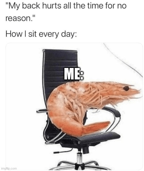 ME: | image tagged in my back,chair,kill,me | made w/ Imgflip meme maker