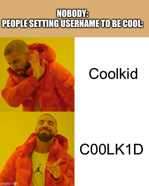 Drake Hotline Bling | NOBODY:
PEOPLE SETTING USERNAME TO BE COOL:; Coolkid; C00LK1D | image tagged in memes,drake hotline bling | made w/ Imgflip meme maker